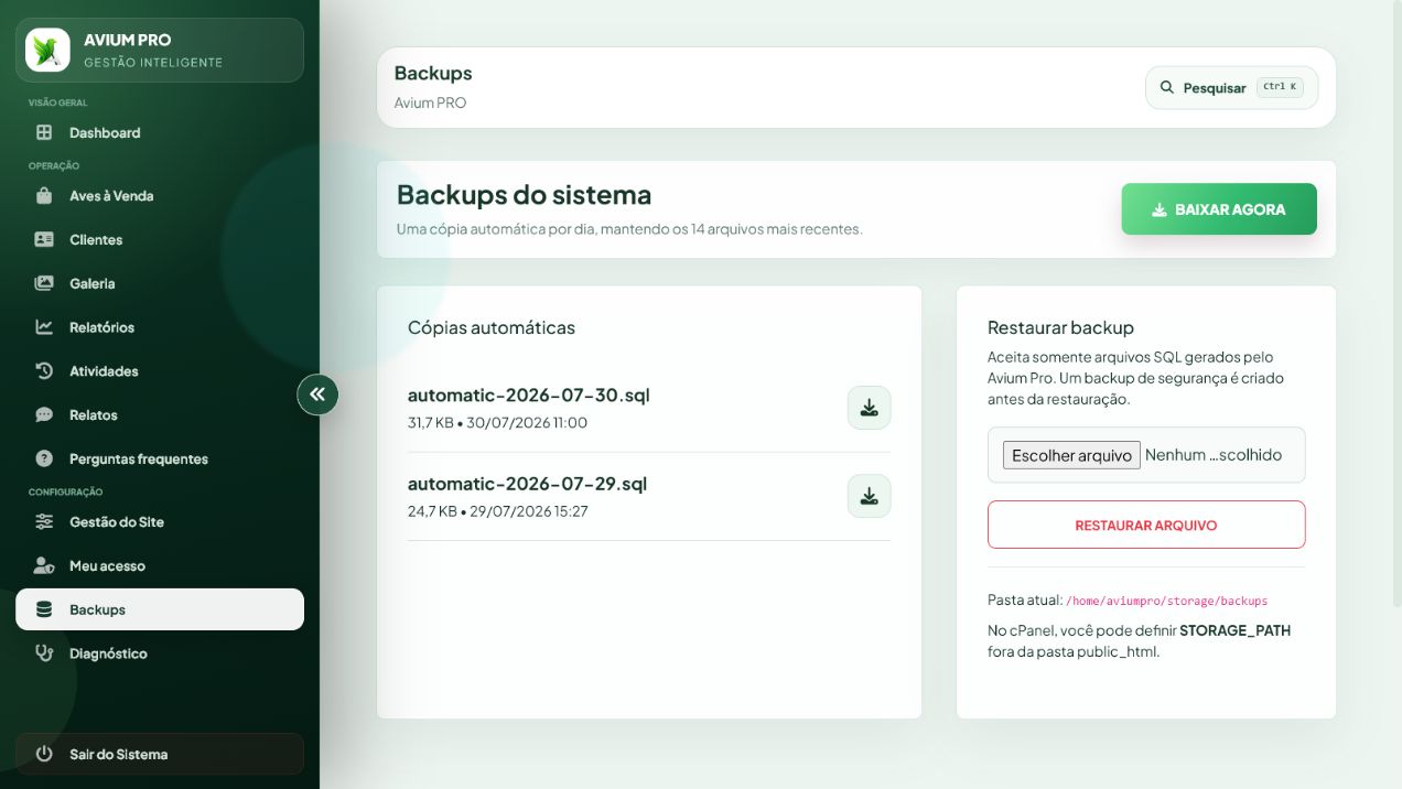 Tela administrativa real de backups
