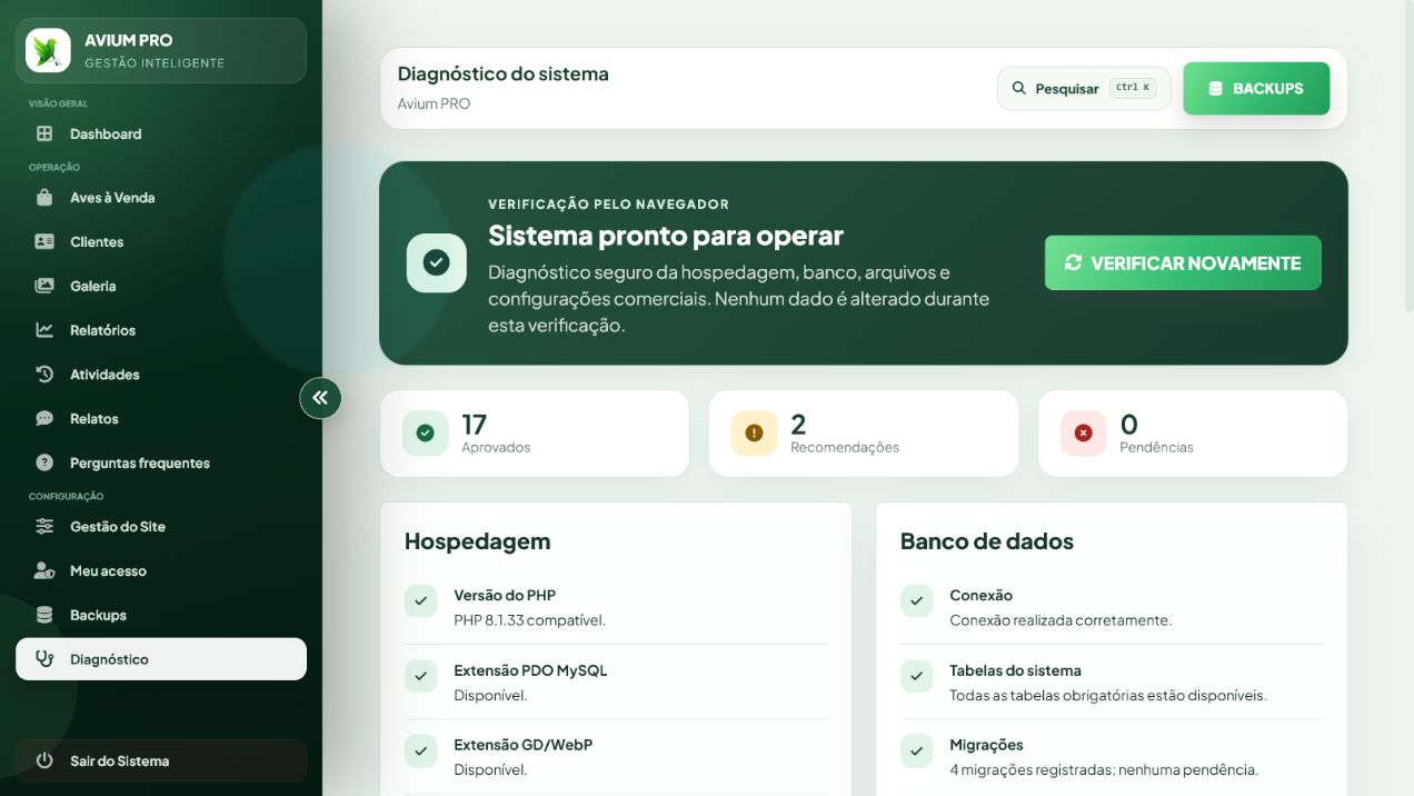 Diagnóstico real do sistema mostrando itens aprovados e recomendações