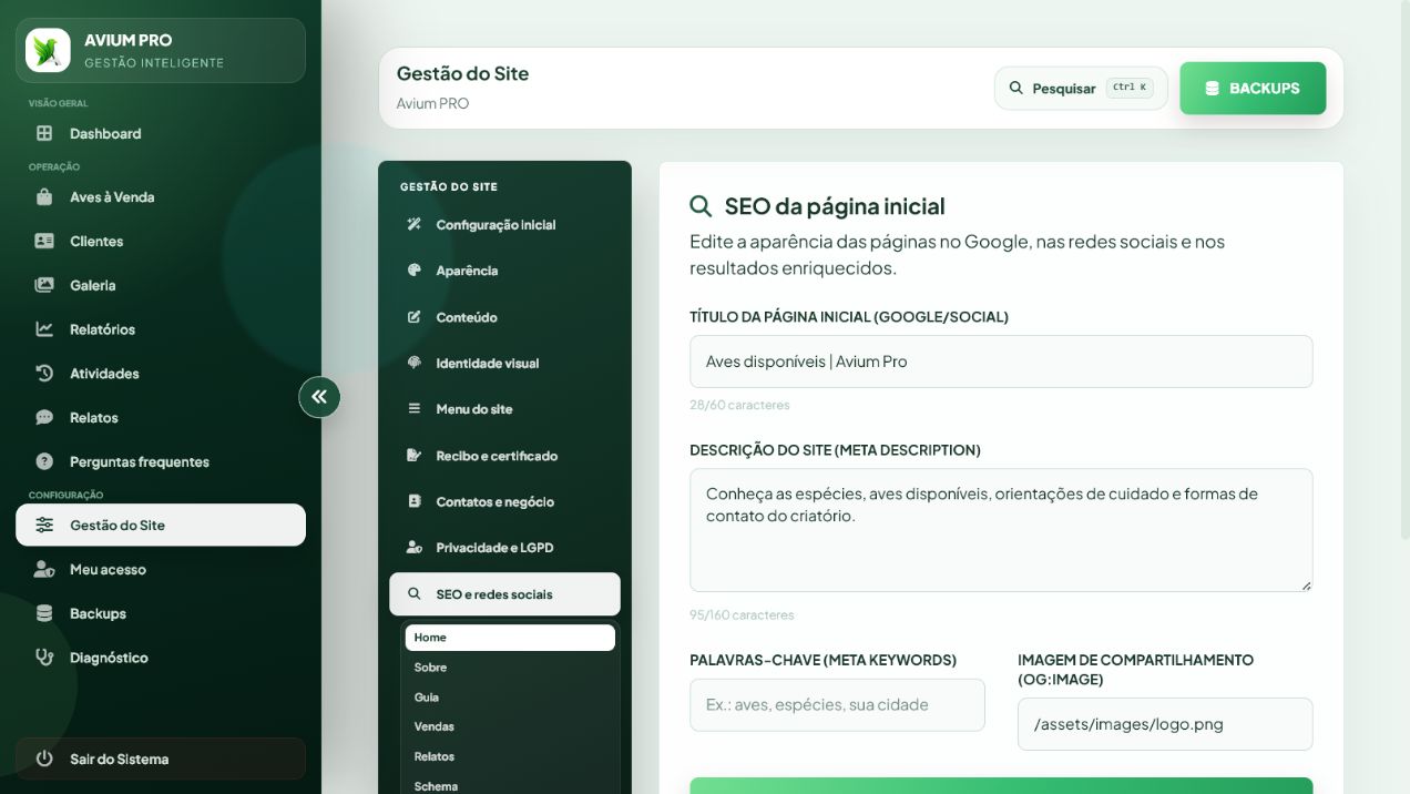 Configuração real de SEO no painel